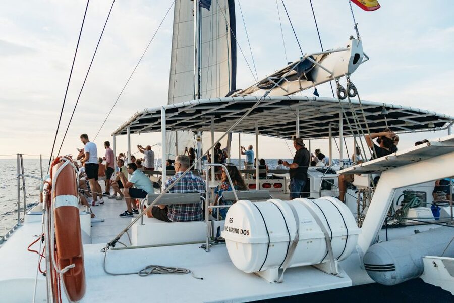 Dénia: Daytime or Sunset Catamaran Cruise - Should you book the Dénia catamaran cruise?