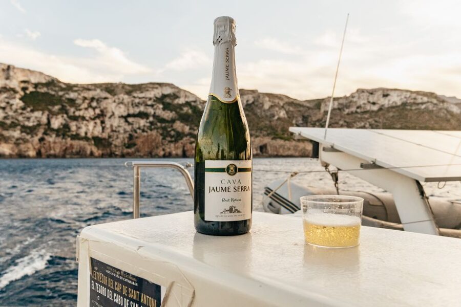 Dénia: Daytime or Sunset Catamaran Cruise - Who will enjoy this catamaran cruise most?