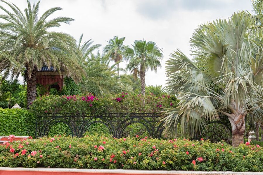 Denia: L'Albarda Garden Entry Ticket - Is the $8 ticket good value?