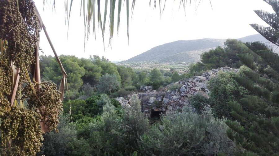 Denia: L'Albarda Garden Entry Ticket - How long to spend and when to visit
