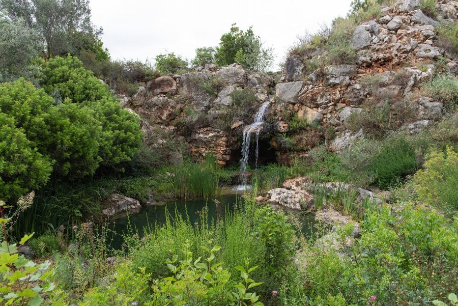 Denia: L'Albarda Garden Entry Ticket - Arriving with mountain views and the main house ahead