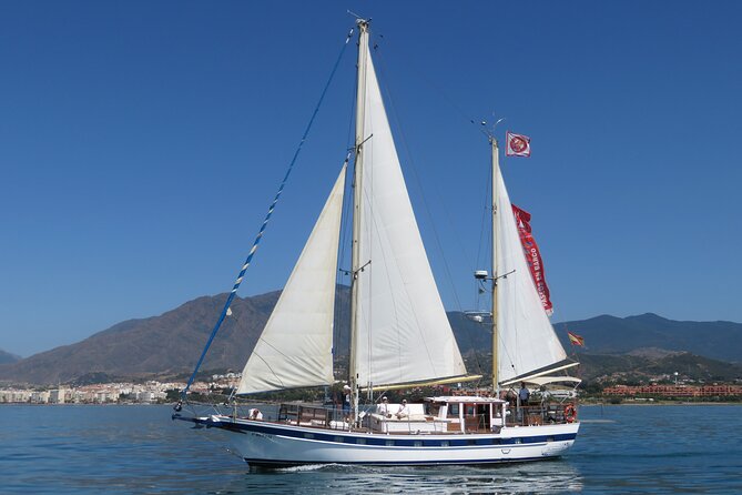 Dolphin Watching Adventure in Estepona Bay - What the 1-hour-45-minute trip feels like