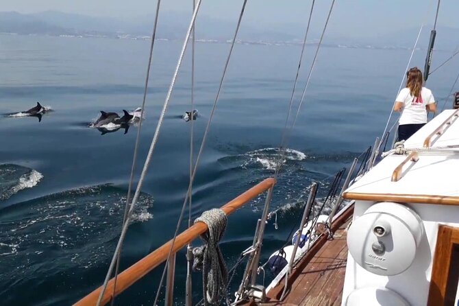 Dolphin Watching Adventure in Estepona Bay - Group size and comfort aboard Intrepido