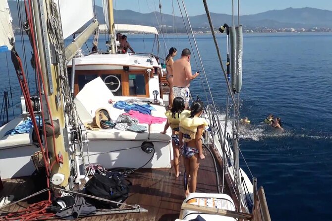 Dolphin Watching Adventure in Estepona Bay - Is $42.33 good value?