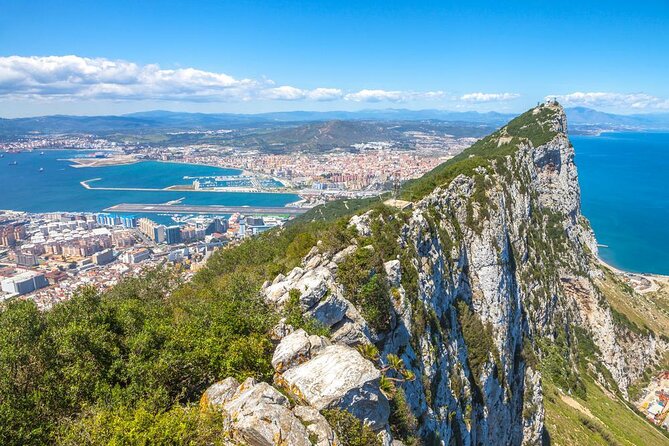 Dolphin Watching Excursion in Gibraltar - Quick points to know