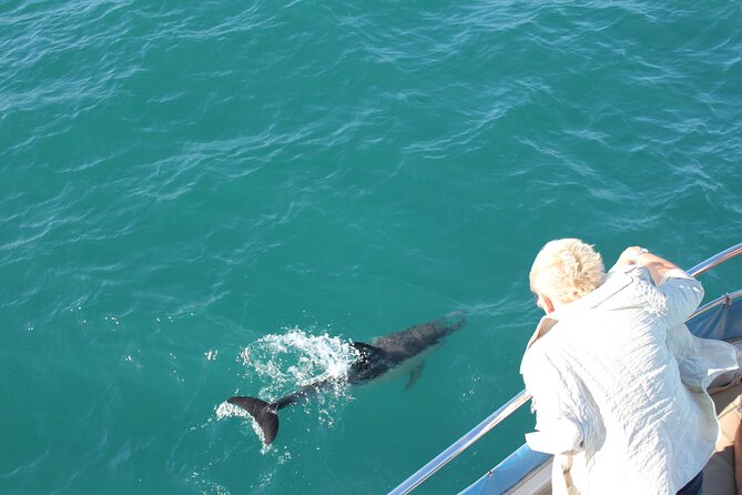 Dolphin Watching in Gibraltar Dolphin Safari V.I.P - Setting out from Marina Bay at 2 pm