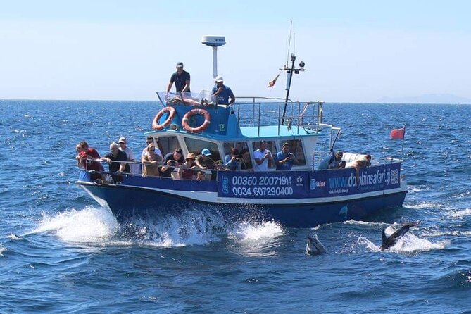 Dolphin Watching in Gibraltar Dolphin Safari V.I.P - A comfortable boat, but still a boat