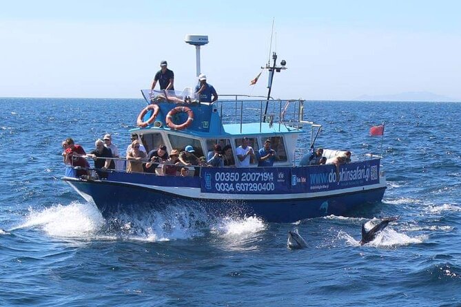 Dolphin Watching in Gibraltar Dolphin Safari V.I.P - Commentary that adds something to the ride