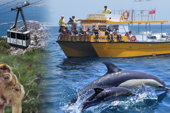 Dolphin Watching in Gibraltar & Fast Track Priority Cable Car - Gibraltar, Spain, and Morocco from the water