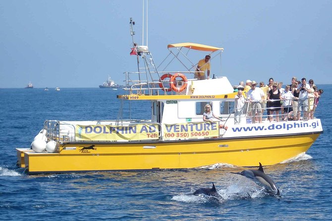 Dolphin Watching in Gibraltar & Fast Track Priority Cable Car - How to plan the two attractions