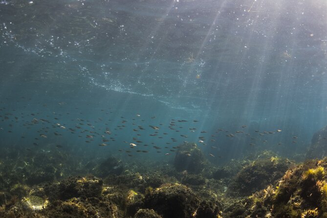 Double Discover Scuba Diving - Who will get the most from this session