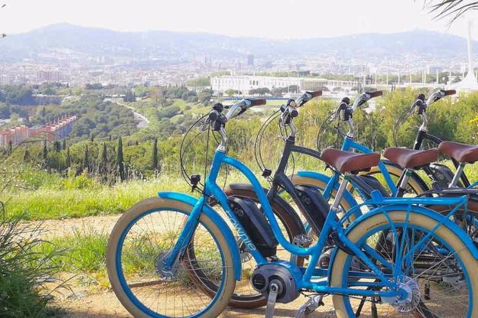 E-Bike tour in Barcelona with English Guide - Who will get the most from this tour