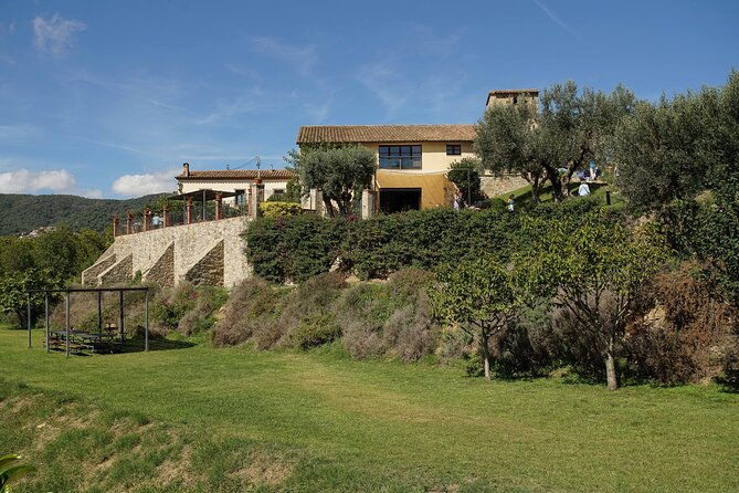Ebike Tour, Winery, Wine Tasting & Sailing Experience(car option) - The car option for non-cyclists