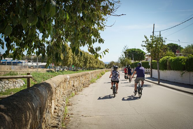 Ebike Tour, Winery, Wine Tasting & Sailing Experience(car option) - What the $108 price really covers