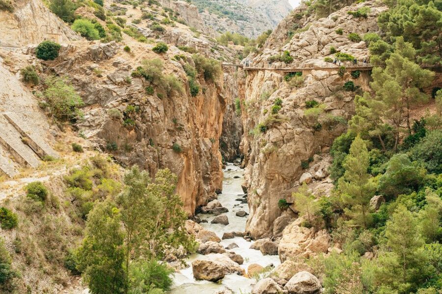El Chorro: Caminito del Rey Guided Tour with Shuttle Bus - Who should book this Caminito del Rey tour?