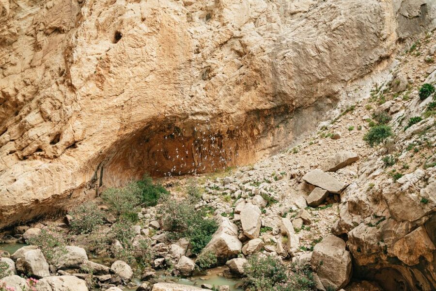 El Chorro: Caminito del Rey Guided Tour with Shuttle Bus - History, fossils, and the guide’s role
