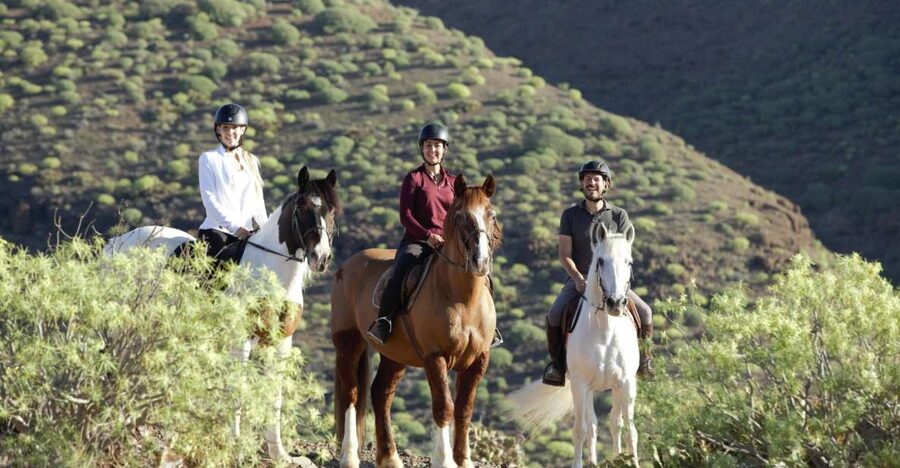El Salobre: Horse Riding Adventure with Transfer Options - Key details before you saddle up
