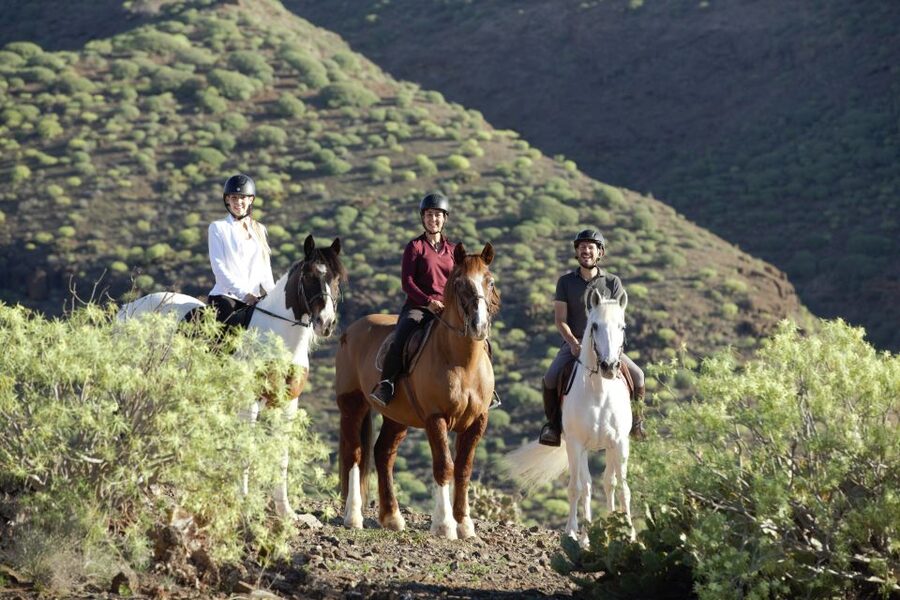 El Salobre: Horse Riding Adventure with Transfer Options - Mountain trails, plantations, and coastal views