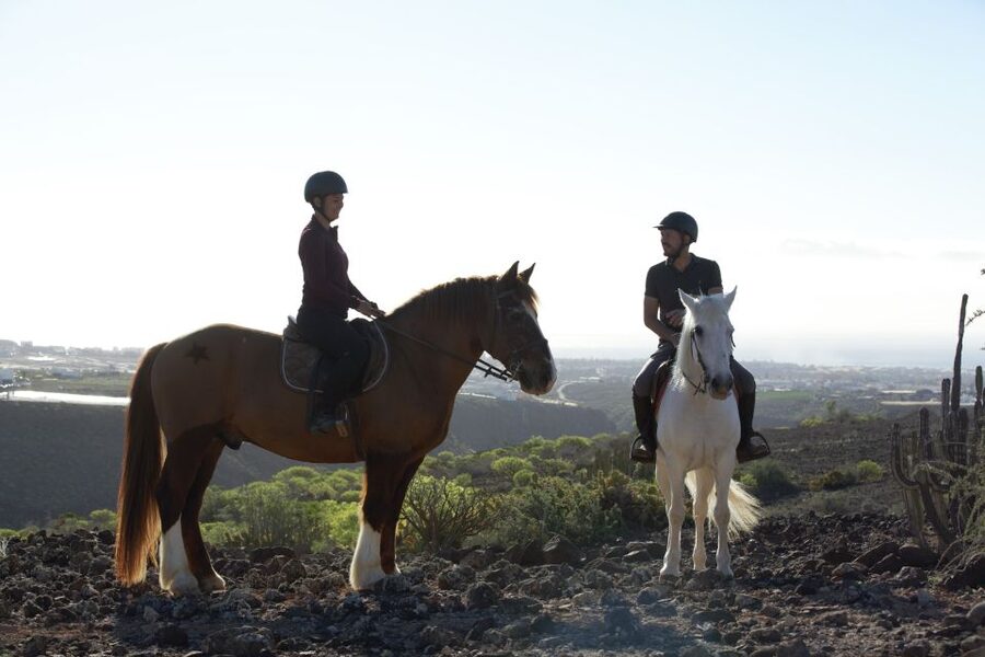 El Salobre: Horse Riding Adventure with Transfer Options - Safety, ability, and the fine print that matters