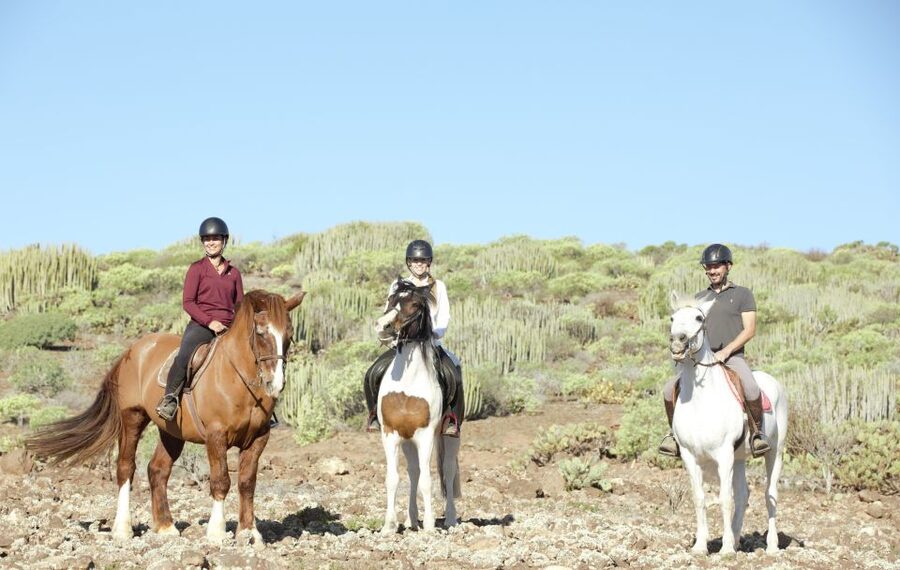 El Salobre: Horse Riding Adventure with Transfer Options - The ranch finish adds a pleasant extra