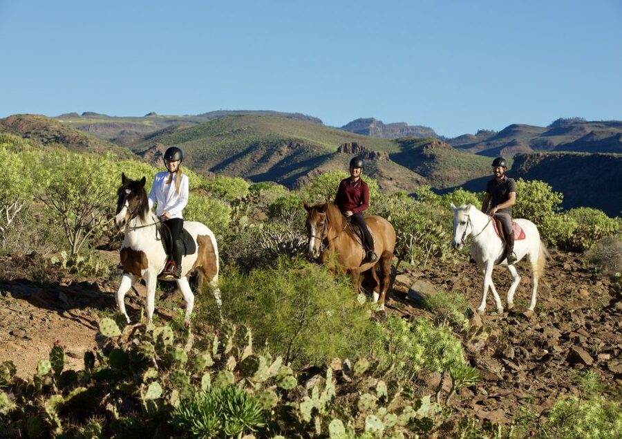 El Salobre: Horse Riding Adventure with Transfer Options - The first minutes are about confidence
