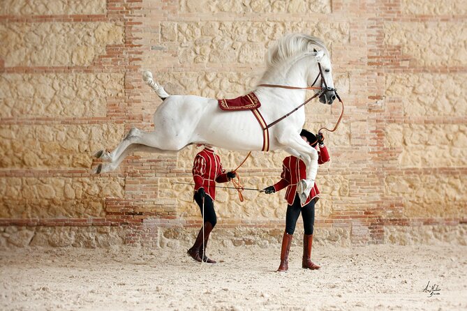 Equestrian Show Royal Stables of Córdoba - The horses and riders are the real attraction