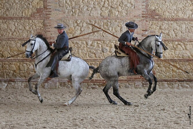 Equestrian Show Royal Stables of Córdoba - Cold evenings can change the experience