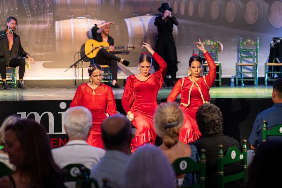 Estepona: Andalusian Flamenco Show Entry Ticket with Drink - The dancers, singer, and musicians