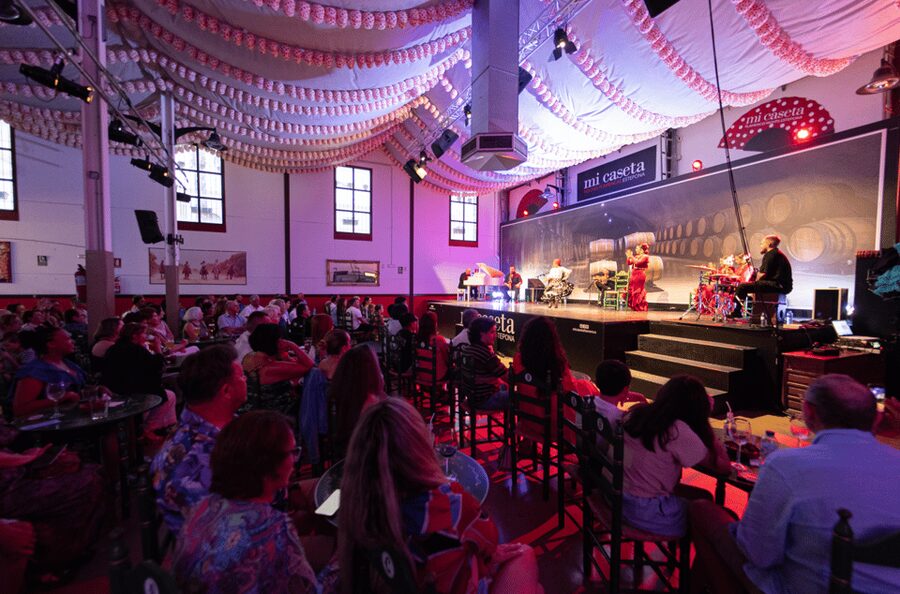 Estepona: Andalusian Flamenco Show Entry Ticket with Drink - Who will enjoy this evening?