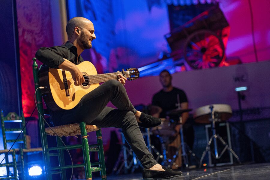 Estepona: Andalusian Flamenco Show Entry Ticket with Drink - Is $53 a fair price?