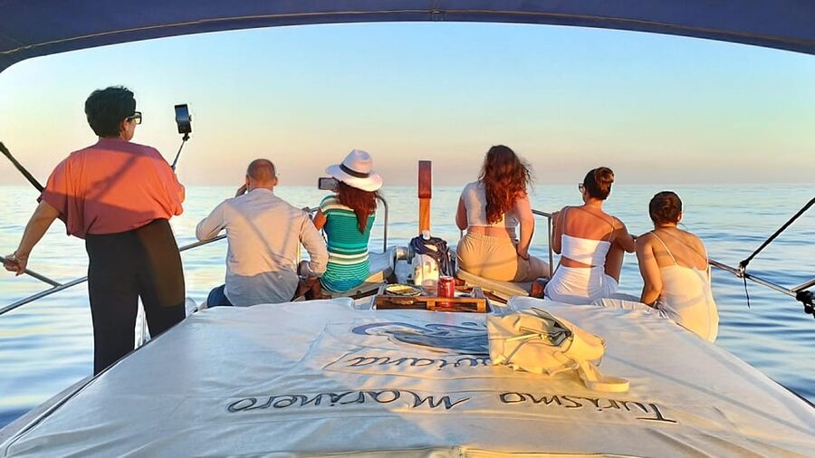 Estepona: Dolphin Search Boat Trip with Drink and Snacks - How the small group changes the experience