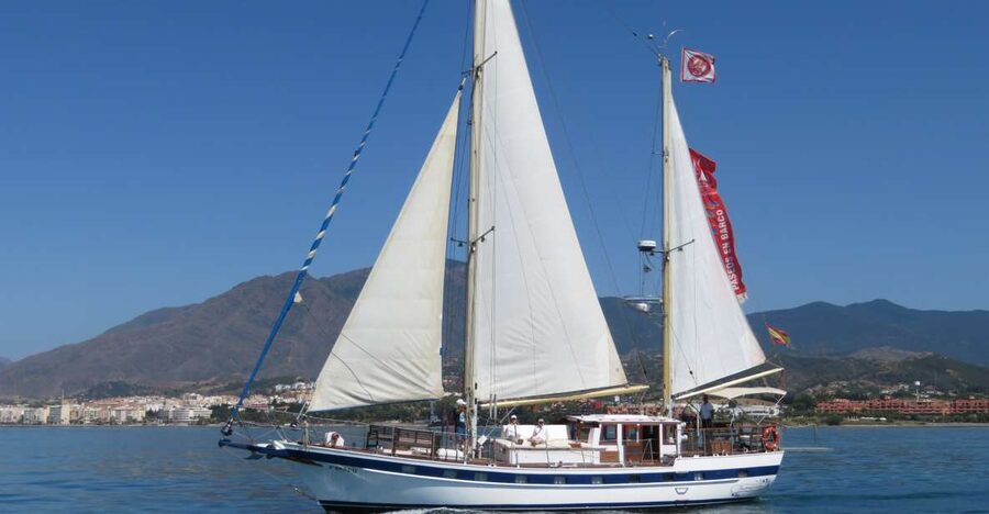 Estepona: Dolphin Watching Sailboat Cruise with Drink - Why this Estepona cruise is worth considering