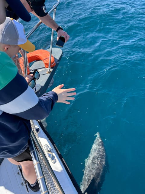 Estepona: Dolphins Searching Sea Cruise with Drink & Snacks - Practical tips for a smoother trip