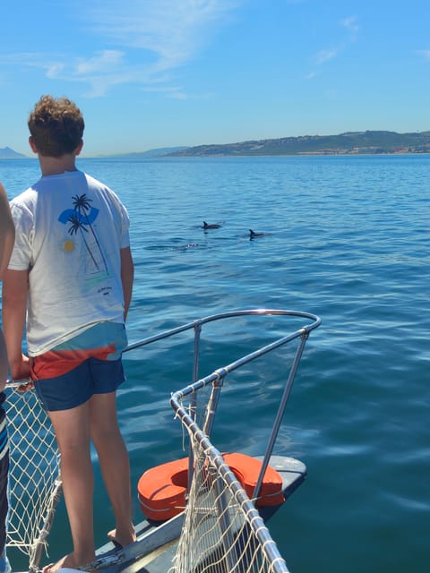 Estepona: Dolphins Searching Sea Cruise with Drink & Snacks - Sunset departures and the best time to go