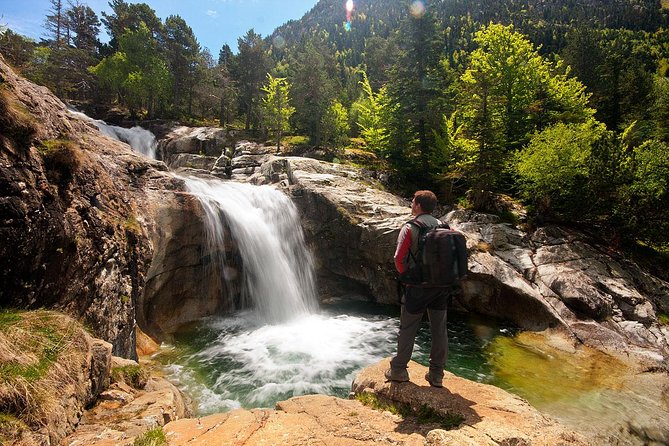 Excursion Aigüestortes - Estany Llebreta (1/2 day) - Key points to know before booking