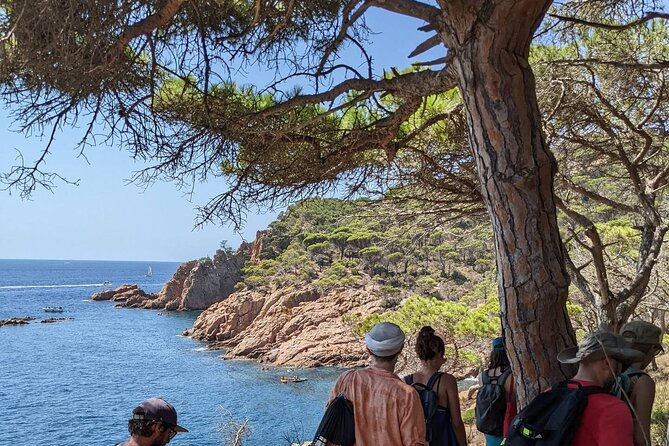 Explore Costa Brava & Tossa de Mar Coastal Trails, Snorkel & Meal - S’Agaro, San Pol Beach, and Cala Sa Conca