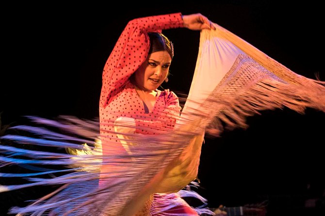 Flamenco Show Ticket at Theatre Barcelona City Hall - The dancers: power, control, and repeated rhythm