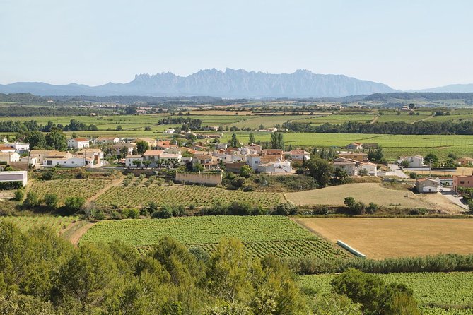 Food and Wine Small Group Tour from Barcelona - Maximum 8 people - Olive trees, an old mill, and the farmhouse lunch