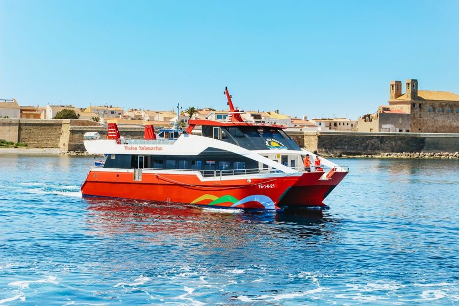 From Alicante: Roundtrip to Tabarca Island - Glass-bottom viewing: a pleasant extra, not the main event