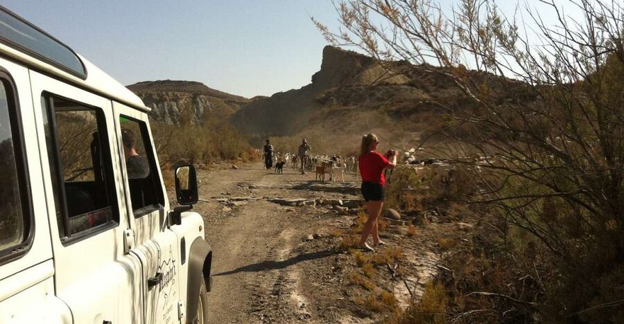 From Almeria: Tabernas Desert 4WD Joyriding Tour - The 4x4 ride: access, not adrenaline