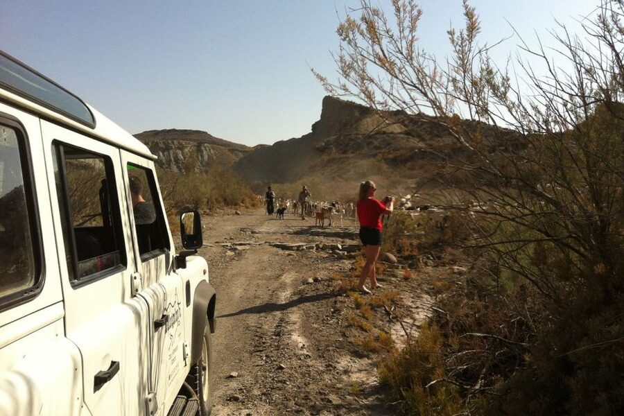 From Almeria: Tabernas Desert 4WD Joyriding Tour - Starting in Tabernas village