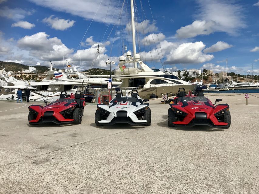 From Andratx: Formula Sunset Driving Tour - Insurance, value, and the real cost