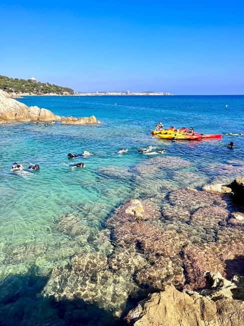 From Barcelona: Costa Brava Kayak & Snorkel Tour with Picnic - Snorkeling with silver fish and sea urchins