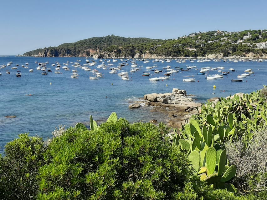 From Barcelona: Costa Brava Typical Towns full day tour - Who will enjoy the day, and who should skip it