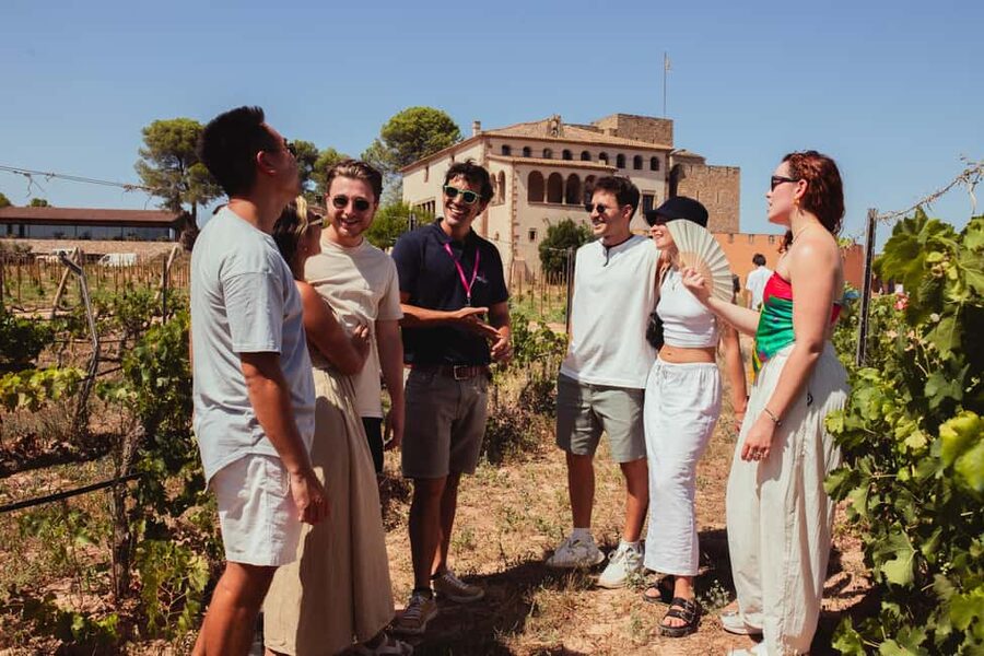 From Barcelona: Full-Day Montserrat & Wine Small Group Tour - Booking details that affect the day