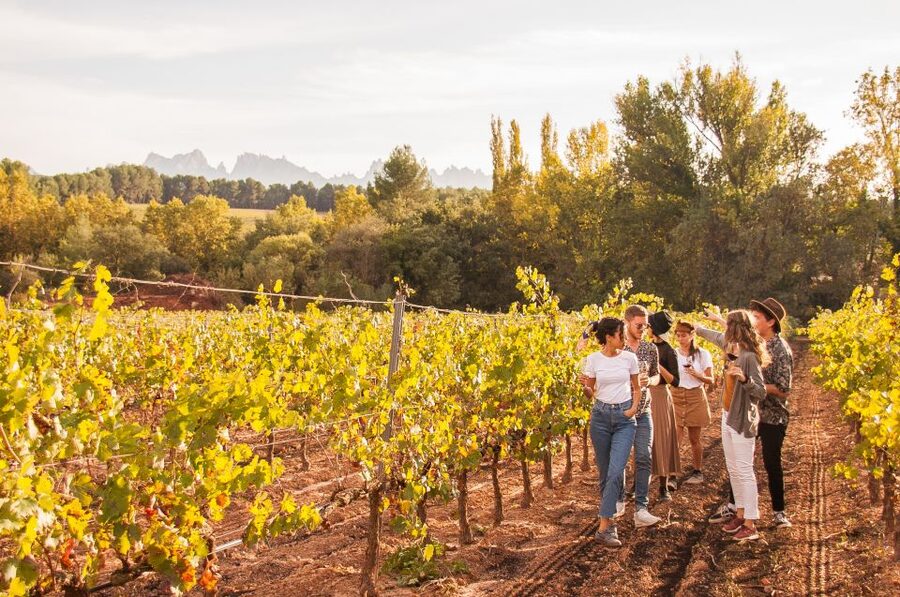From Barcelona: Full-Day Montserrat & Wine Small Group Tour - Transport, timing, and group size