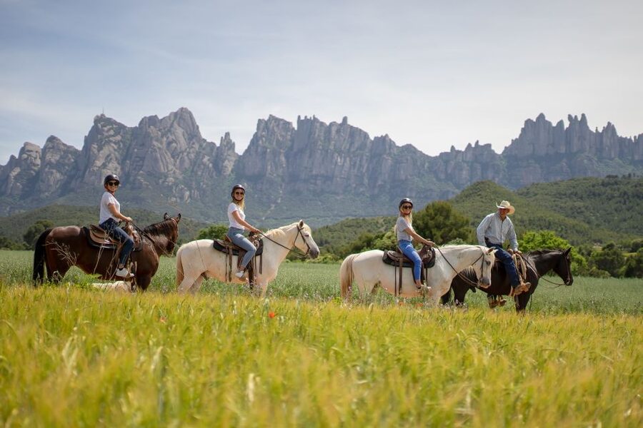 From Barcelona: Half-Day Montserrat & Horse Riding Tour - The minibus ride from central Barcelona