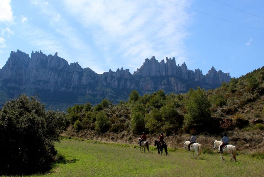 From Barcelona: Horseback Tour in Montserrat National Park - A quick stop for Catalan food and local products