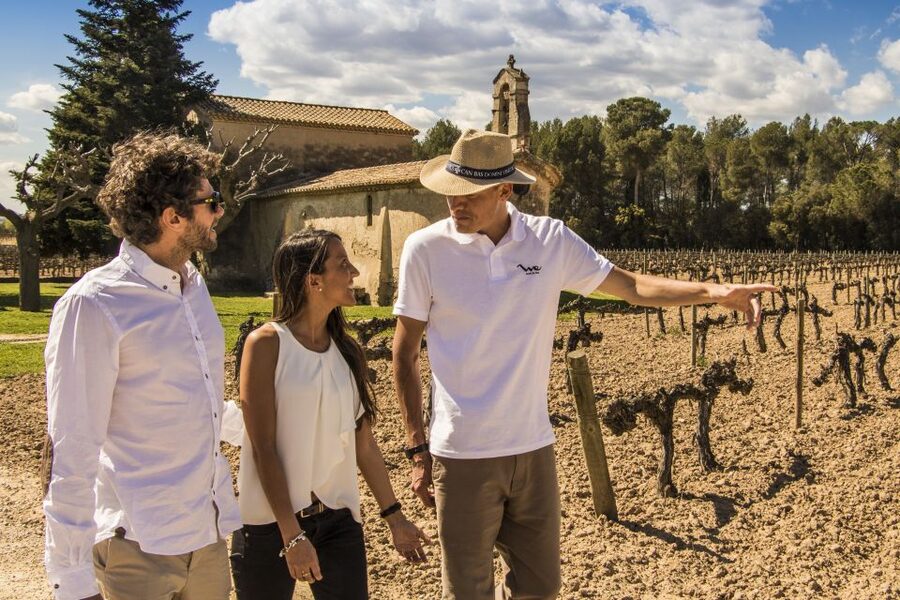 From Barcelona: Penedés Vineyards Tour by 4WD w/Wine & Cava - Three wines, four cavas, and what that really means