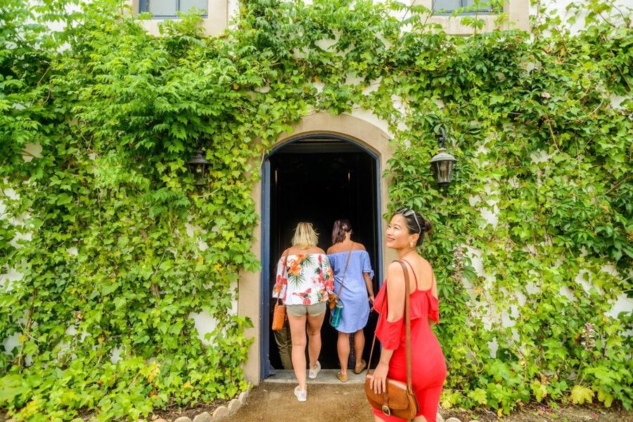 From Barcelona: Penedés Vineyards Tour by 4WD w/Wine & Cava - Why two wineries can be better than four